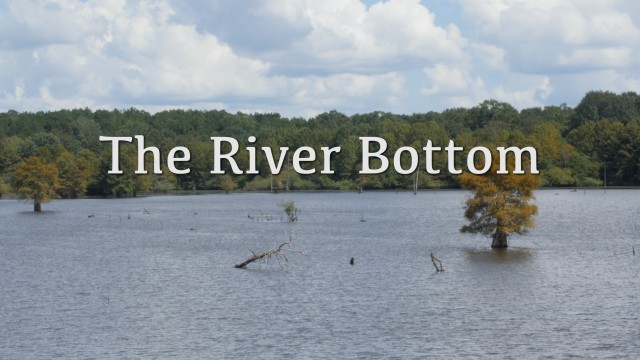 The River Bottom