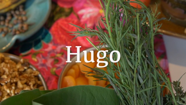 Hugo
