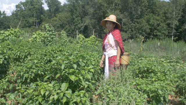 A Gift: The Neighbor’s Field