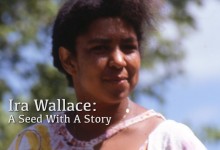 Ira Wallace: A Seed With A Story