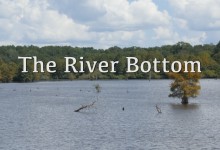 The River Bottom
